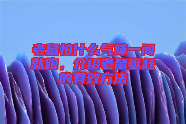老鼠怕什么氣味一聞就跑，介紹老鼠驅(qū)趕的有效方法