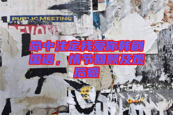 命中注定我愛(ài)你韓劇國(guó)語(yǔ)，情節(jié)回顧及觀后感