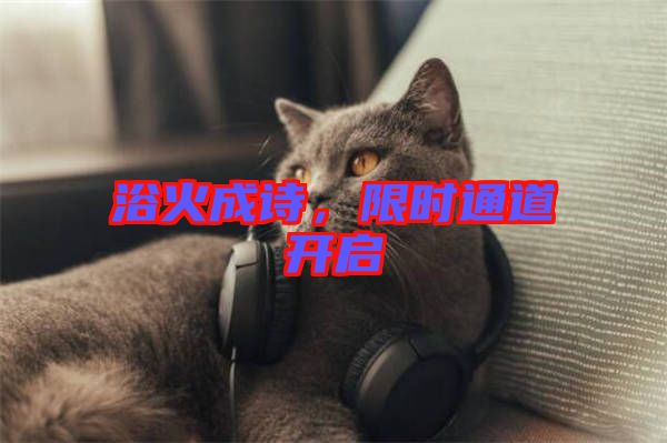 浴火成詩，限時通道開啟