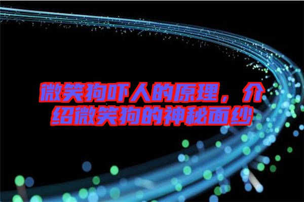 微笑狗嚇人的原理，介紹微笑狗的神秘面紗