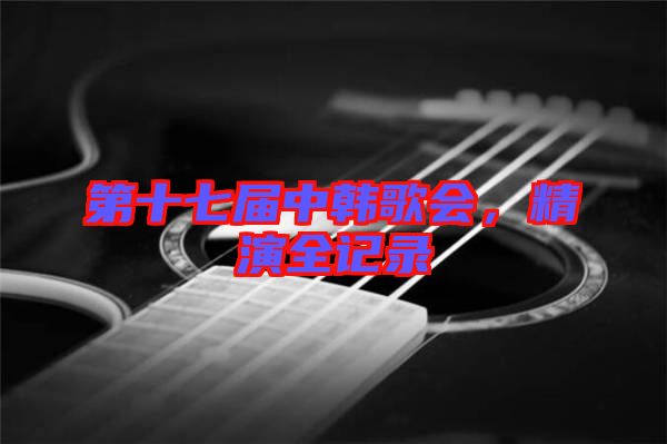 第十七屆中韓歌會(huì)，精演全記錄