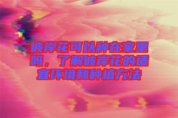 彼岸花可以種在家里嗎，了解彼岸花的適宜環(huán)境和種植方法