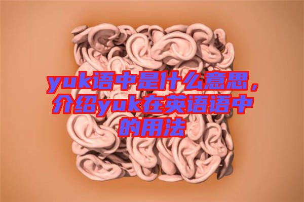 yuk語(yǔ)中是什么意思，介紹yuk在英語(yǔ)語(yǔ)中的用法