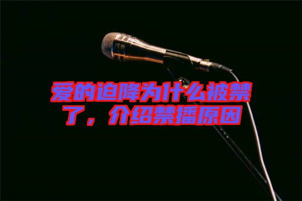 愛的迫降為什么被禁了，介紹禁播原因