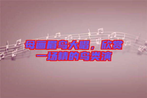母畫眉鳥大唱，欣賞一場精的鳥類演