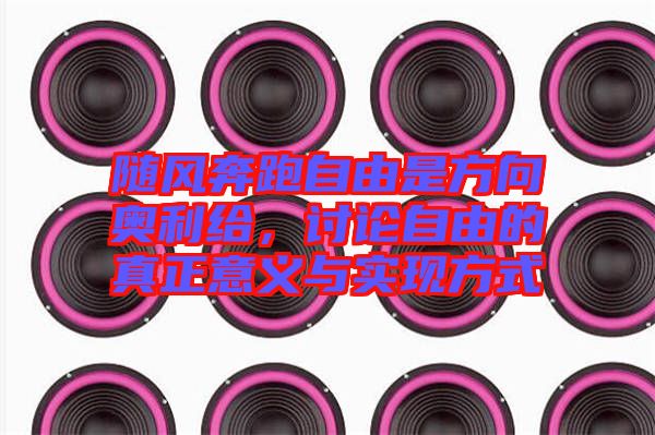隨風(fēng)奔跑自由是方向奧利給，討論自由的真正意義與實現(xiàn)方式