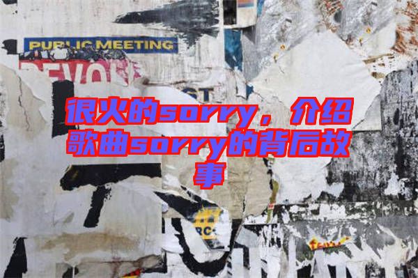 很火的sorry，介紹歌曲sorry的背后故事