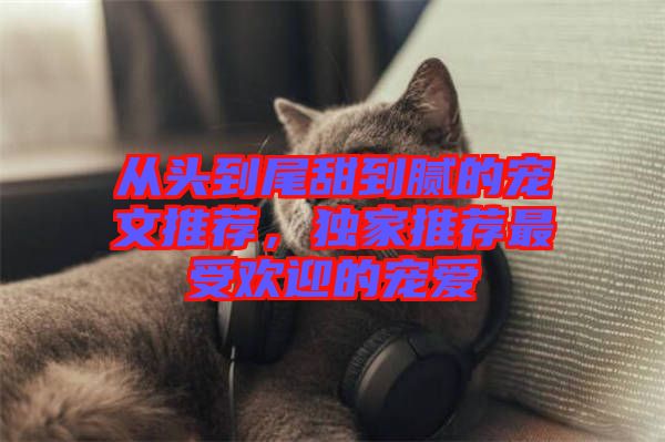 從頭到尾甜到膩的寵文推薦，獨(dú)家推薦最受歡迎的寵愛