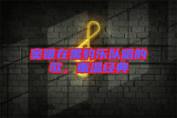 竇唯在黑豹樂隊唱的歌，重溫經典