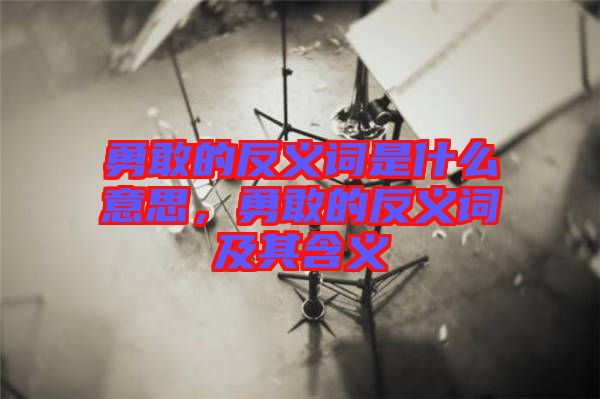 勇敢的反義詞是什么意思，勇敢的反義詞及其含義