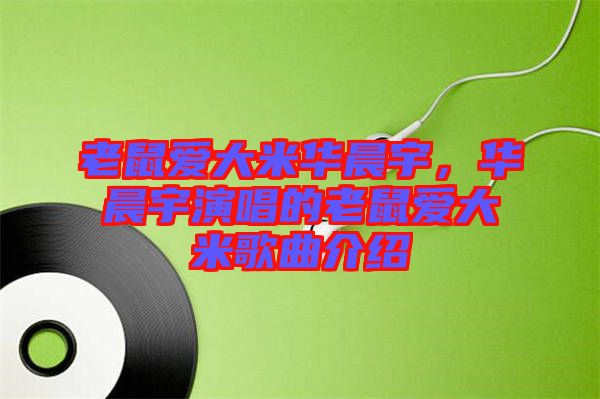 老鼠愛大米華晨宇，華晨宇演唱的老鼠愛大米歌曲介紹