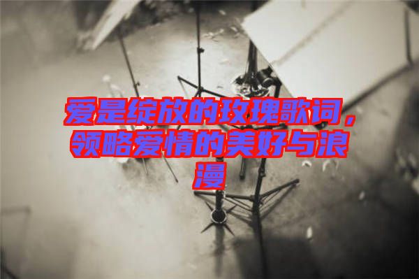 愛是綻放的玫瑰歌詞，領(lǐng)略愛情的美好與浪漫