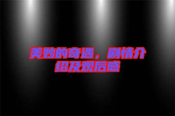 美妙的奇遇，劇情介紹及觀后感