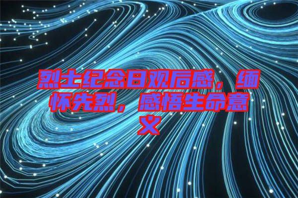 烈士紀(jì)念日觀后感，緬懷先烈，感悟生命意義