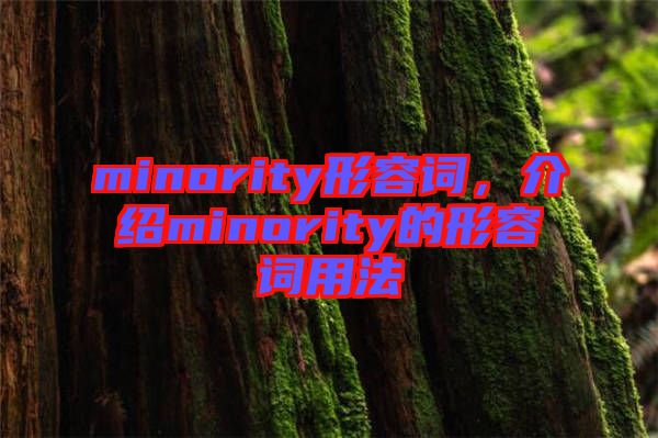 minority形容詞，介紹minority的形容詞用法