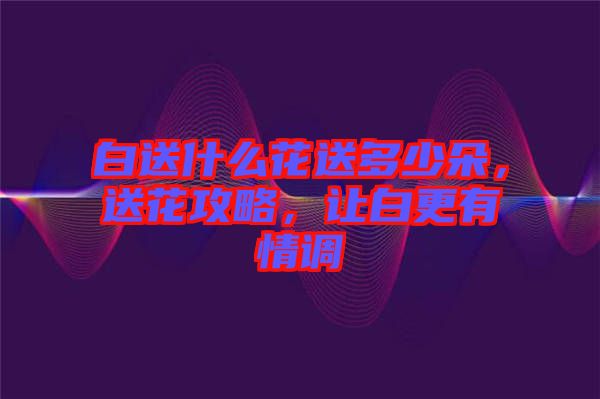 白送什么花送多少朵，送花攻略，讓白更有情調(diào)