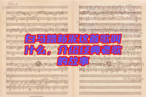 白馬踏新泥這首歌叫什么，介紹經(jīng)典老歌的故事