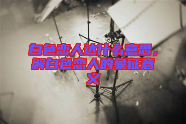 白色戀人達(dá)什么意思，解白色戀人的象征意義