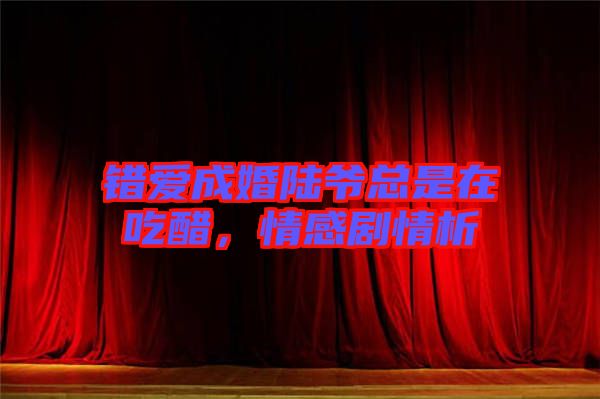 錯(cuò)愛(ài)成婚陸爺總是在吃醋，情感劇情析