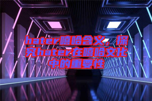 hater嘻哈含義，探究hater在嘻哈文化中的重要性