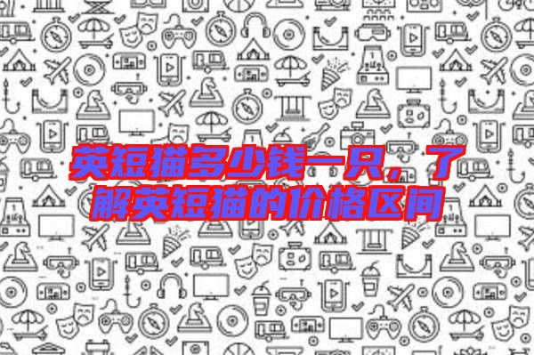 英短貓多少錢一只，了解英短貓的價格區(qū)間