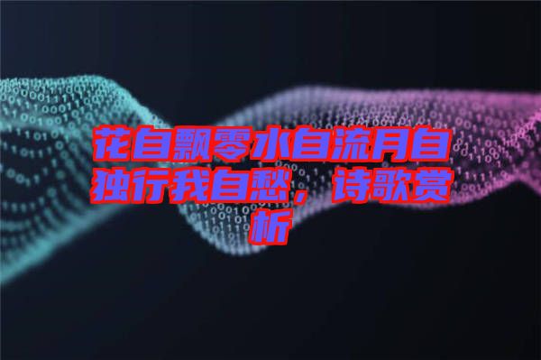 花自飄零水自流月自獨行我自愁，詩歌賞析