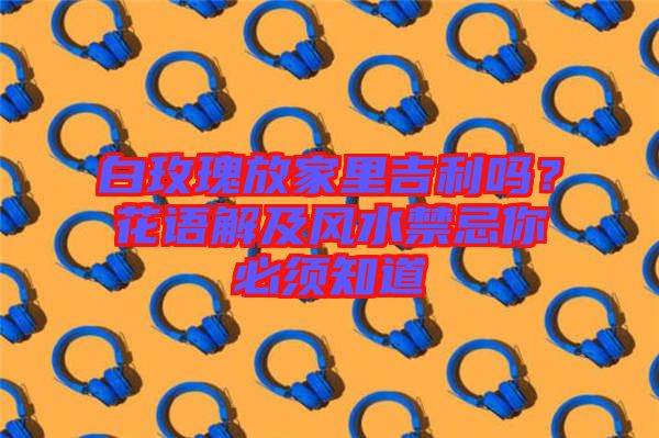 白玫瑰放家里吉利嗎？花語解及風水禁忌你必須知道