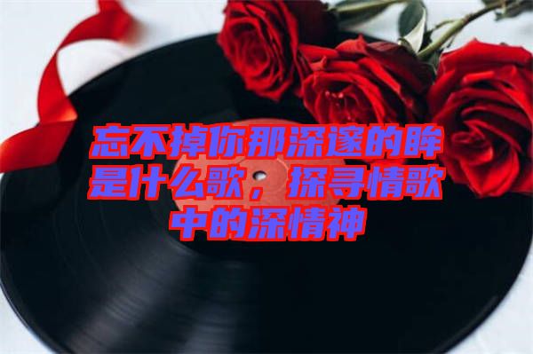 忘不掉你那深邃的眸是什么歌，探尋情歌中的深情神