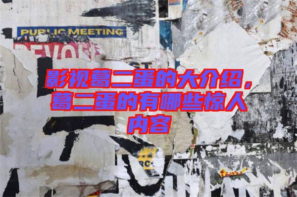 影視葛二蛋的大介紹，葛二蛋的有哪些驚人內(nèi)容