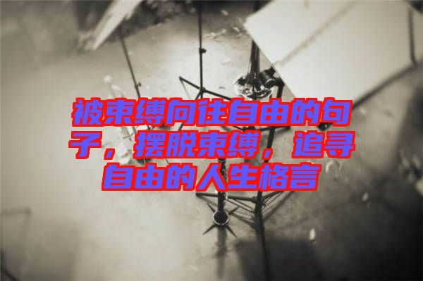 被束縛向往自由的句子，擺脫束縛，追尋自由的人生格言