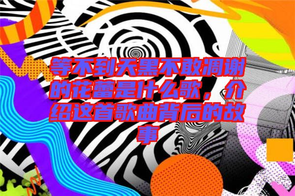 等不到天黑不敢凋謝的花蕾是什么歌，介紹這首歌曲背后的故事