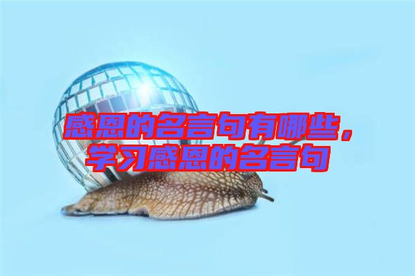 感恩的名言句有哪些，學(xué)習(xí)感恩的名言句