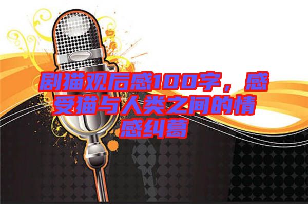 劇貓觀后感100字，感受貓與人類(lèi)之間的情感糾葛