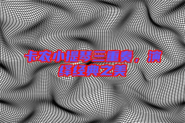 卡農(nóng)小提琴三重奏，演繹經(jīng)典之美