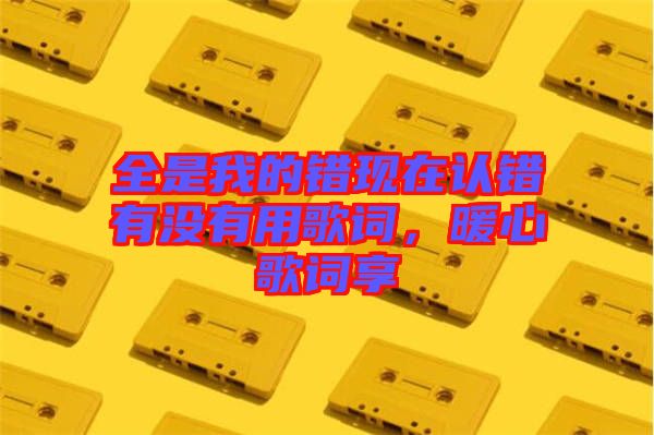 全是我的錯(cuò)現(xiàn)在認(rèn)錯(cuò)有沒有用歌詞，暖心歌詞享