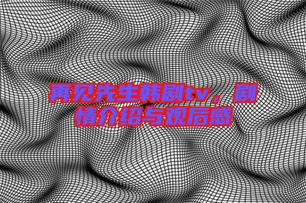 再見(jiàn)先生韓劇tv，劇情介紹與觀后感