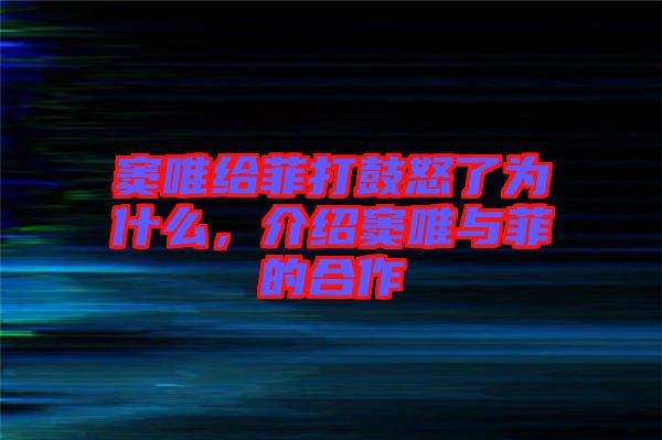 竇唯給菲打鼓怒了為什么，介紹竇唯與菲的合作