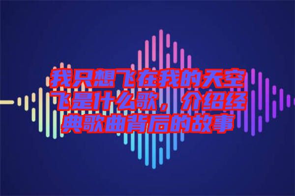我只想飛在我的天空飛是什么歌，介紹經典歌曲背后的故事