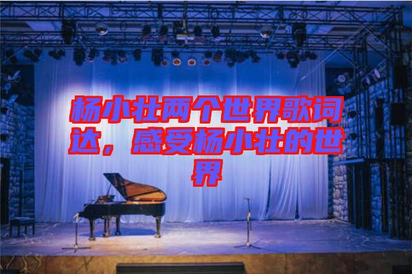 楊小壯兩個(gè)世界歌詞達(dá)，感受楊小壯的世界