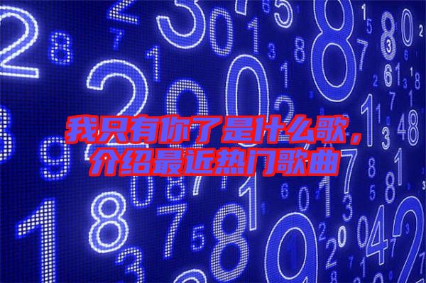 我只有你了是什么歌，介紹最近熱門(mén)歌曲