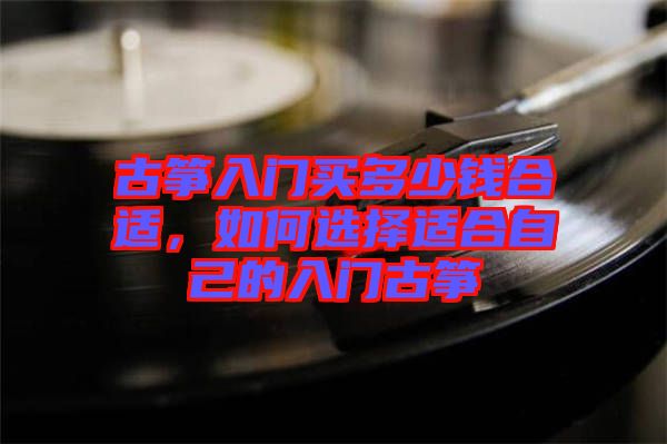 古箏入門買多少錢合適，如何選擇適合自己的入門古箏