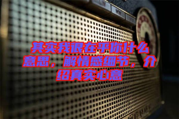 其實我很在乎你什么意思，解情感細節(jié)，介紹真實心意