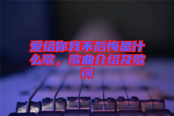 愛給你我不后悔是什么歌，歌曲介紹及歌詞