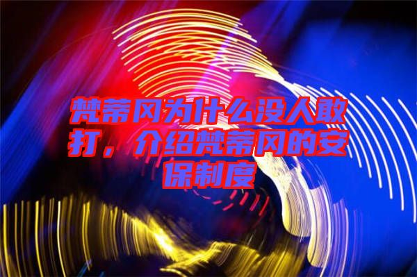 梵蒂岡為什么沒(méi)人敢打，介紹梵蒂岡的安保制度