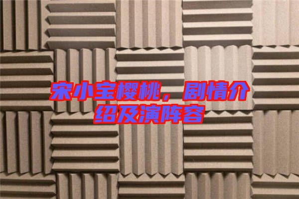 宋小寶櫻桃，劇情介紹及演陣容