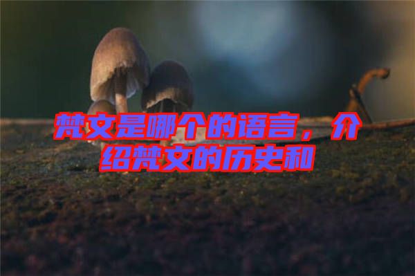 梵文是哪個(gè)的語(yǔ)言，介紹梵文的歷史和