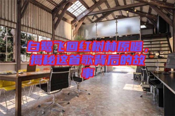 白鷺飛回紅樹林原唱，揭秘這首歌背后的故事