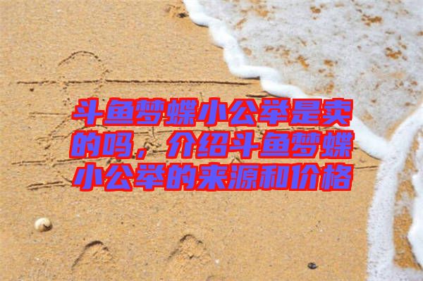 斗魚夢蝶小公舉是賣的嗎，介紹斗魚夢蝶小公舉的來源和價格