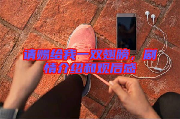 請(qǐng)賜給我一雙翅膀，劇情介紹和觀后感