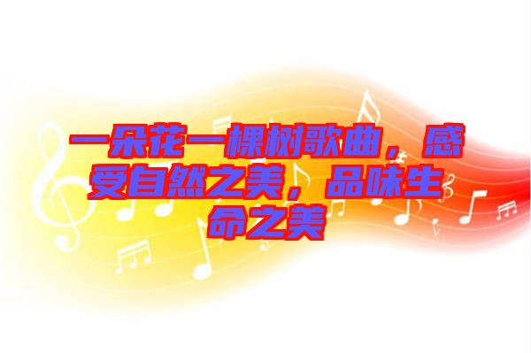 一朵花一棵樹歌曲，感受自然之美，品味生命之美